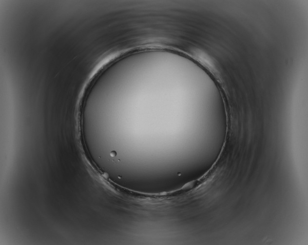 X0000086901384200705071234