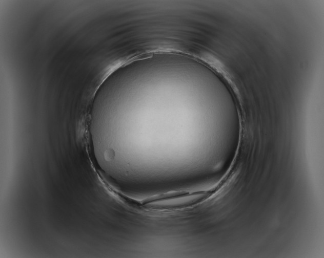 X0000086901385200705071234