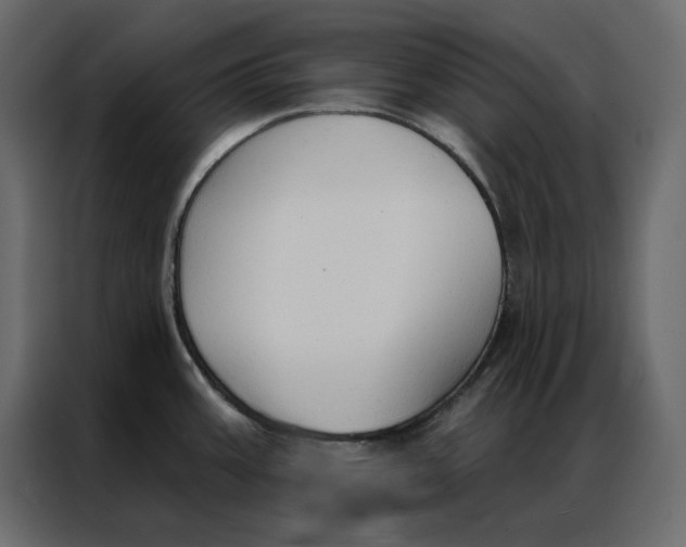 X0000086901387200705071234