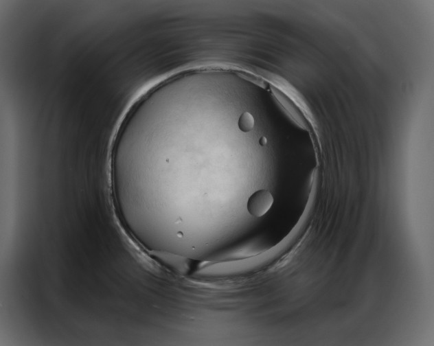 X0000086901388200705071234