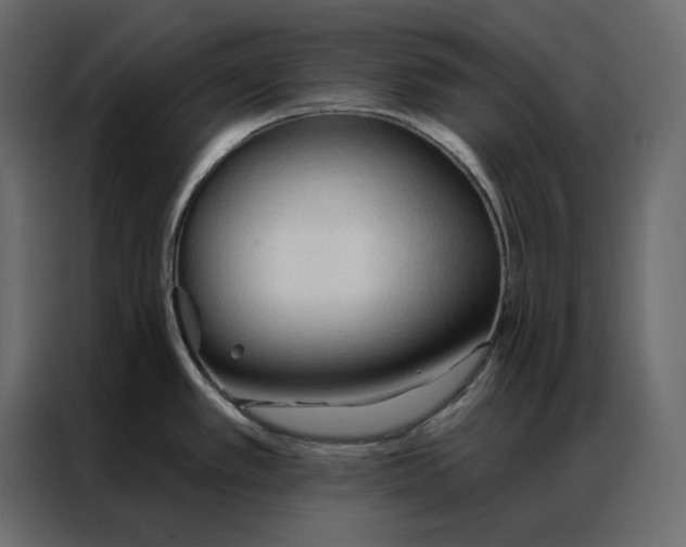 X0000086901389200705071234