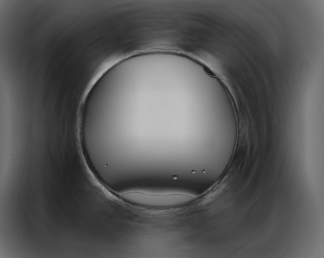 X0000086901390200705071234