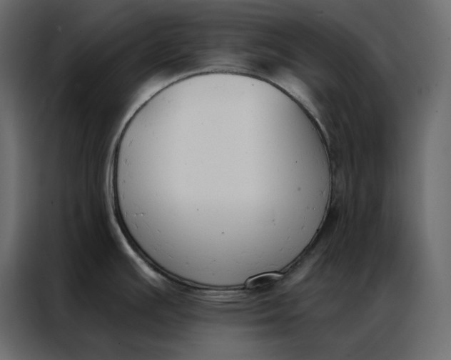 X0000086901391200705071234