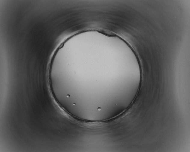 X0000086901392200705071234