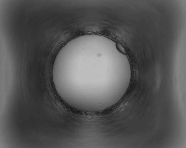 X0000086901393200705071234