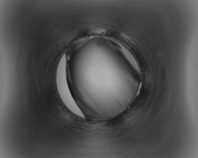 X0000086901394200705071234