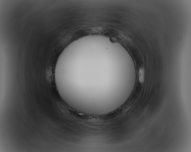 X0000086901395200705071234