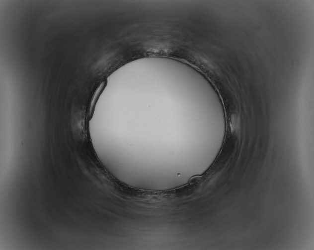 X0000086901396200705071234