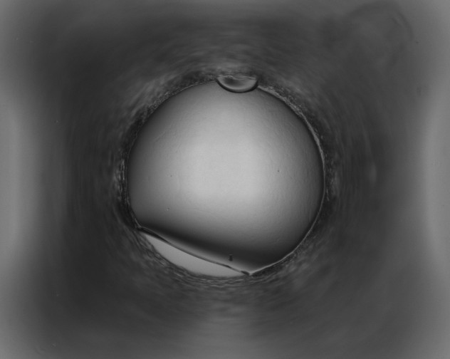 X0000086901397200705071234