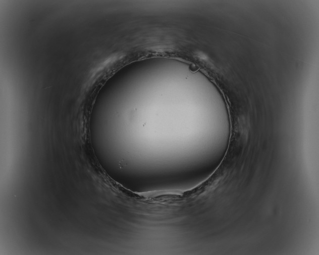 X0000086901398200705071234