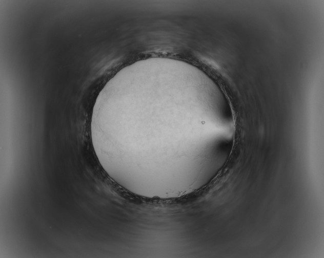 X0000086901399200705071234