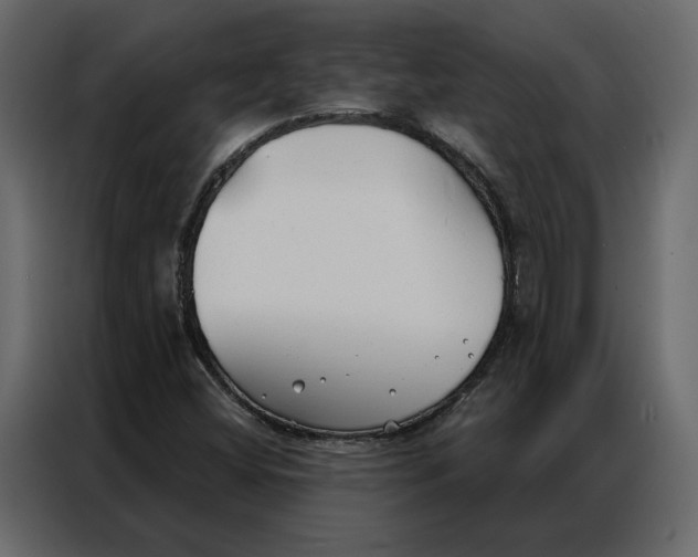 X0000086901404200705071234