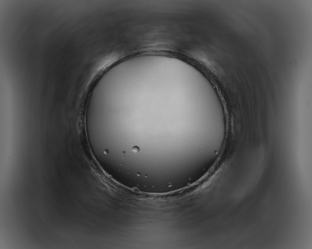 X0000086901405200705071234