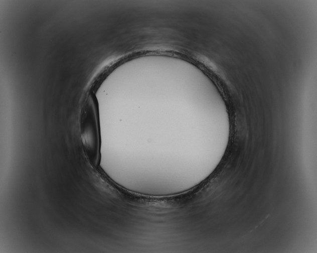 X0000086901408200705071234