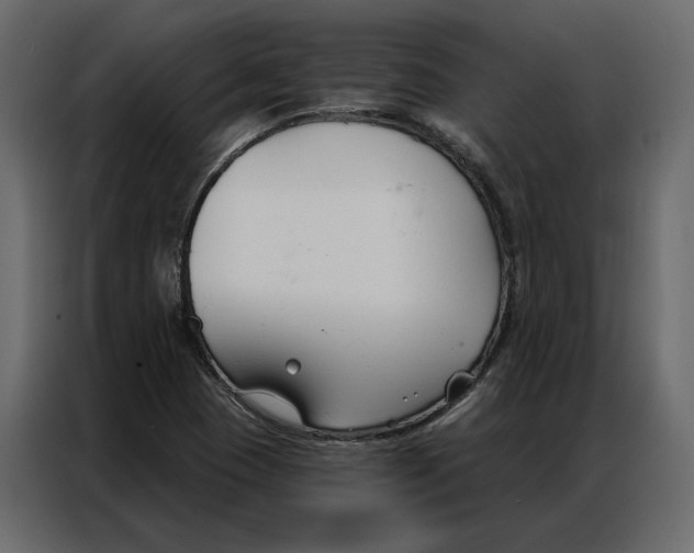 X0000086901409200705071234