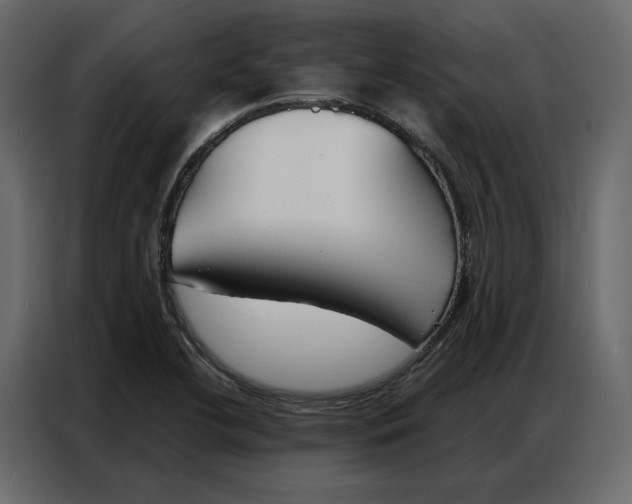 X0000086901412200705071234