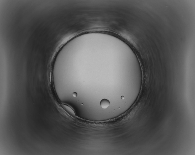 X0000086901413200705071234