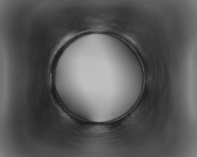 X0000086901414200705071234