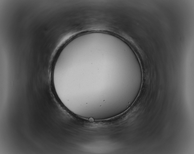 X0000086901416200705071234