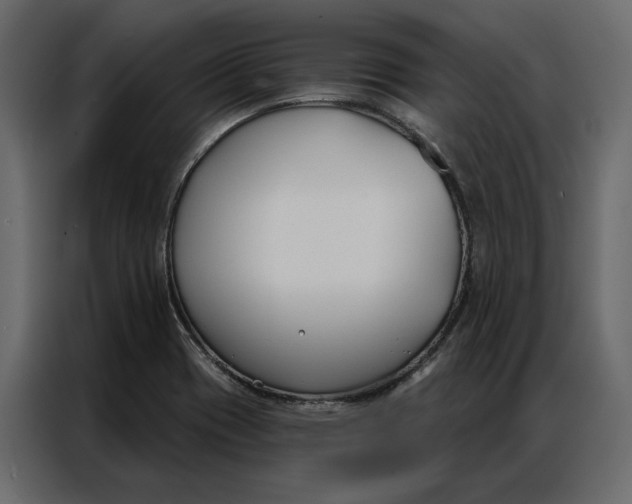 X0000086901417200705071234