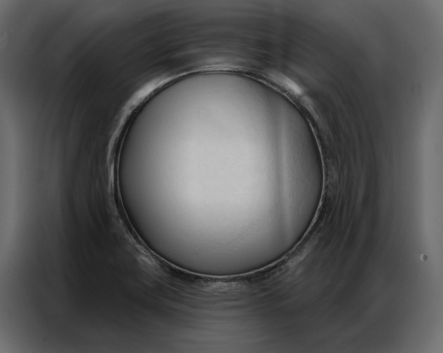 X0000086901419200705071234