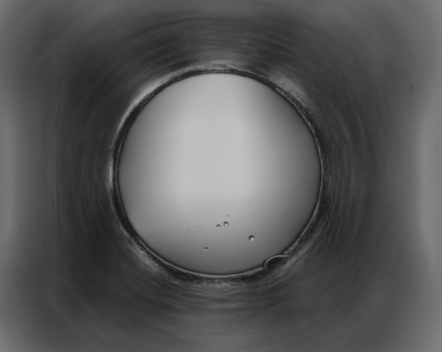 X0000086901420200705071234