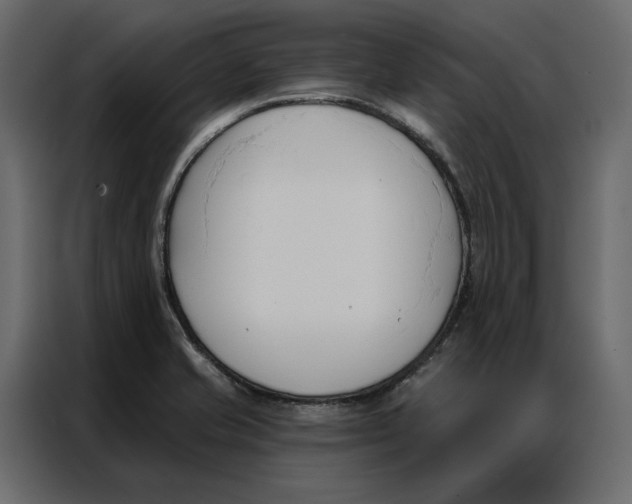 X0000086901421200705071234