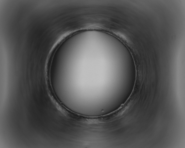 X0000086901422200705071234