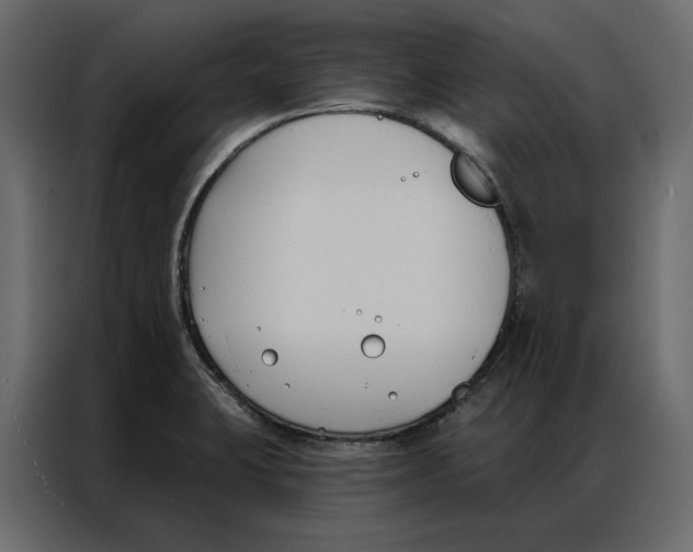 X0000086901423200705071234