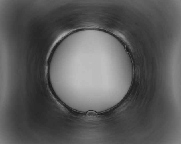 X0000086901424200705071234