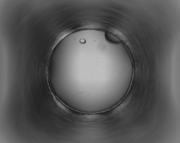 X0000086901425200705071234