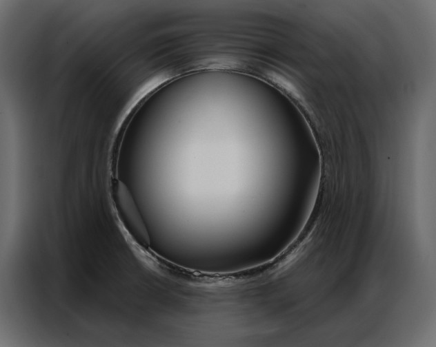 X0000086901426200705071234