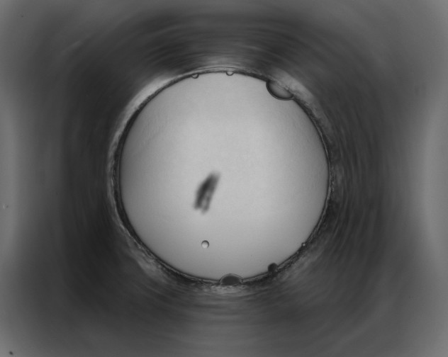 X0000086901427200705071234