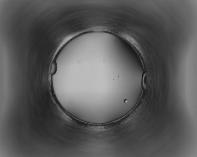 X0000086901428200705071234