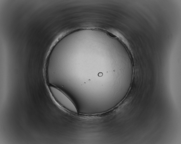 X0000086901429200705071234