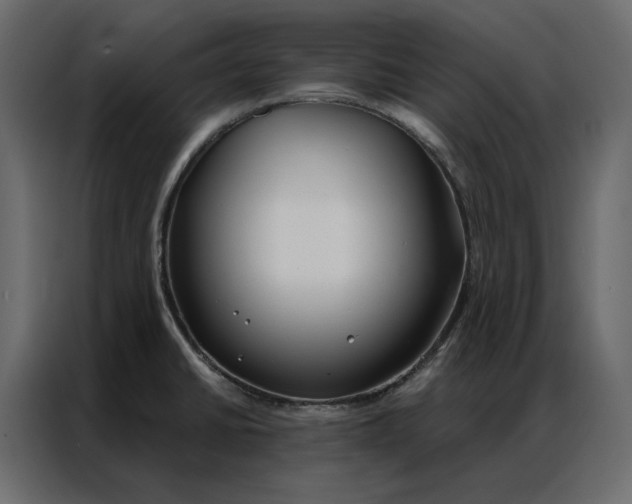 X0000086901430200705071234