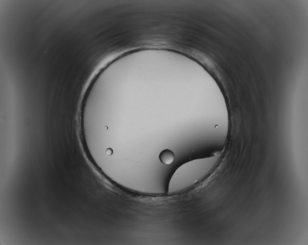 X0000086901432200705071234