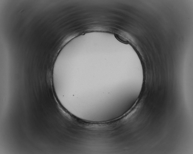 X0000086901433200705071234