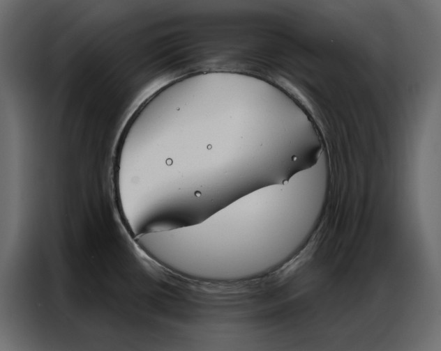 X0000086901434200705071234