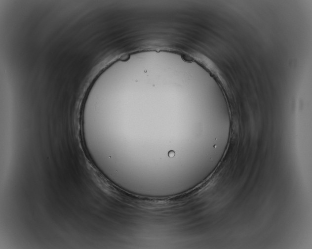 X0000086901435200705071234