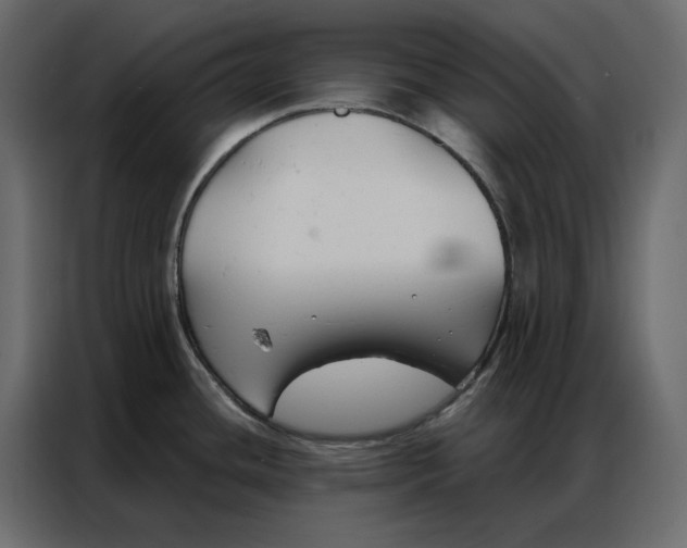 X0000086901436200705071234