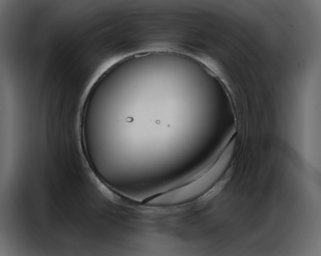 X0000086901438200705071234