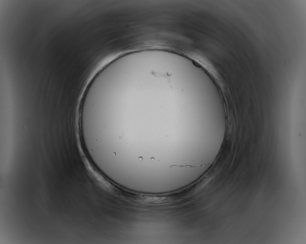 X0000086901439200705071234