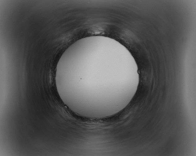 X0000086901442200705071234