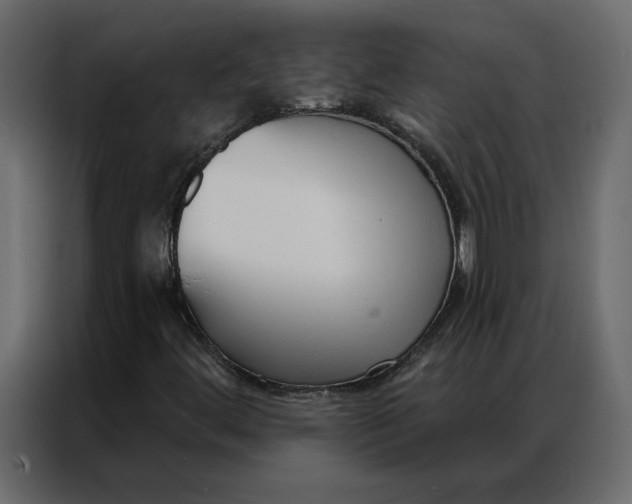 X0000086901444200705071234