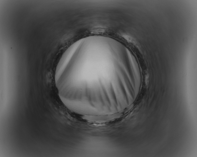 X0000086901445200705071234