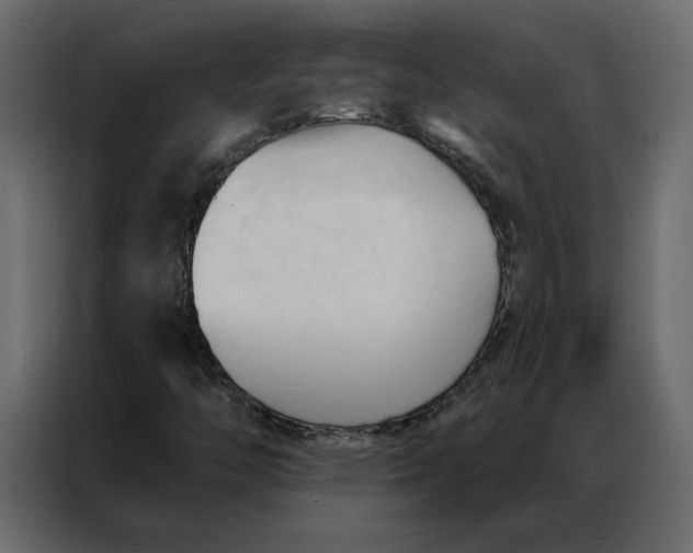 X0000086901446200705071234