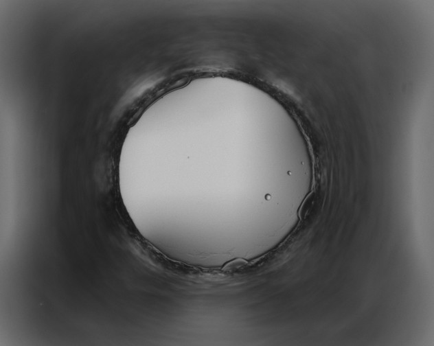 X0000086901448200705071234