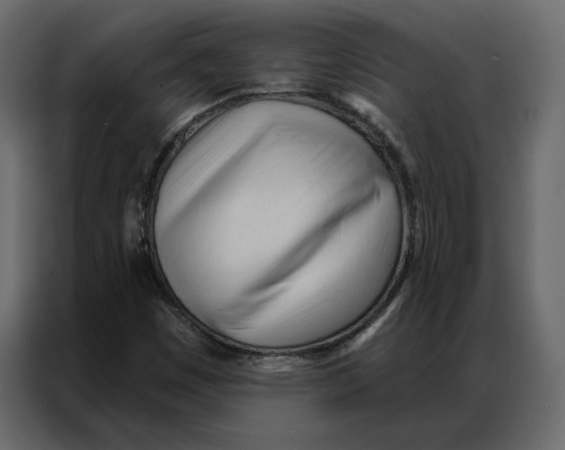 X0000086901449200705071234