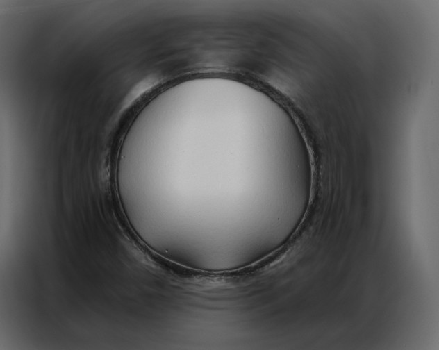 X0000086901450200705071234